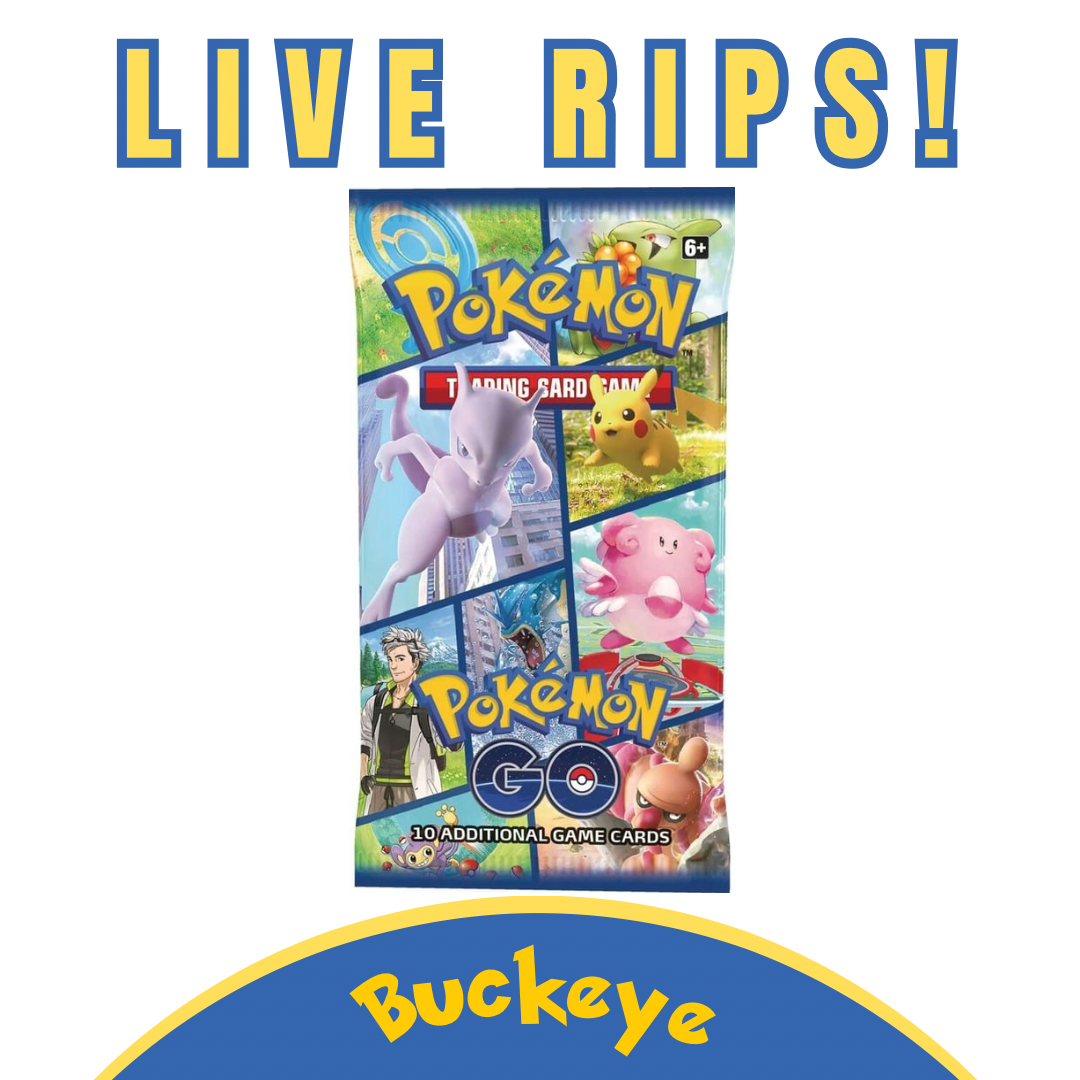 Pokémon GO Premier Deck Holder Collection (Dragonite VSTAR)